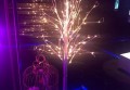 招聘善于文案图片（创意图文编辑招募：文字与视觉的魔术师）