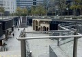 咖啡员工招聘文案（探索咖啡之旅：加入我们，成为团队一员）